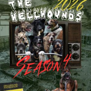 Spendenkalender 2026