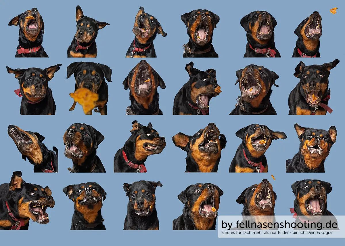 Spendenkalender September 2025 